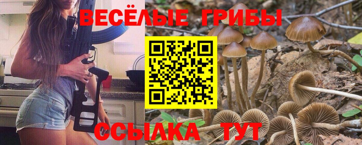 Псилоцибиновые грибы прущие грибы  Псилоцибиновые грибы GOLDEN TEACHER  Вход с VPN  Омск 